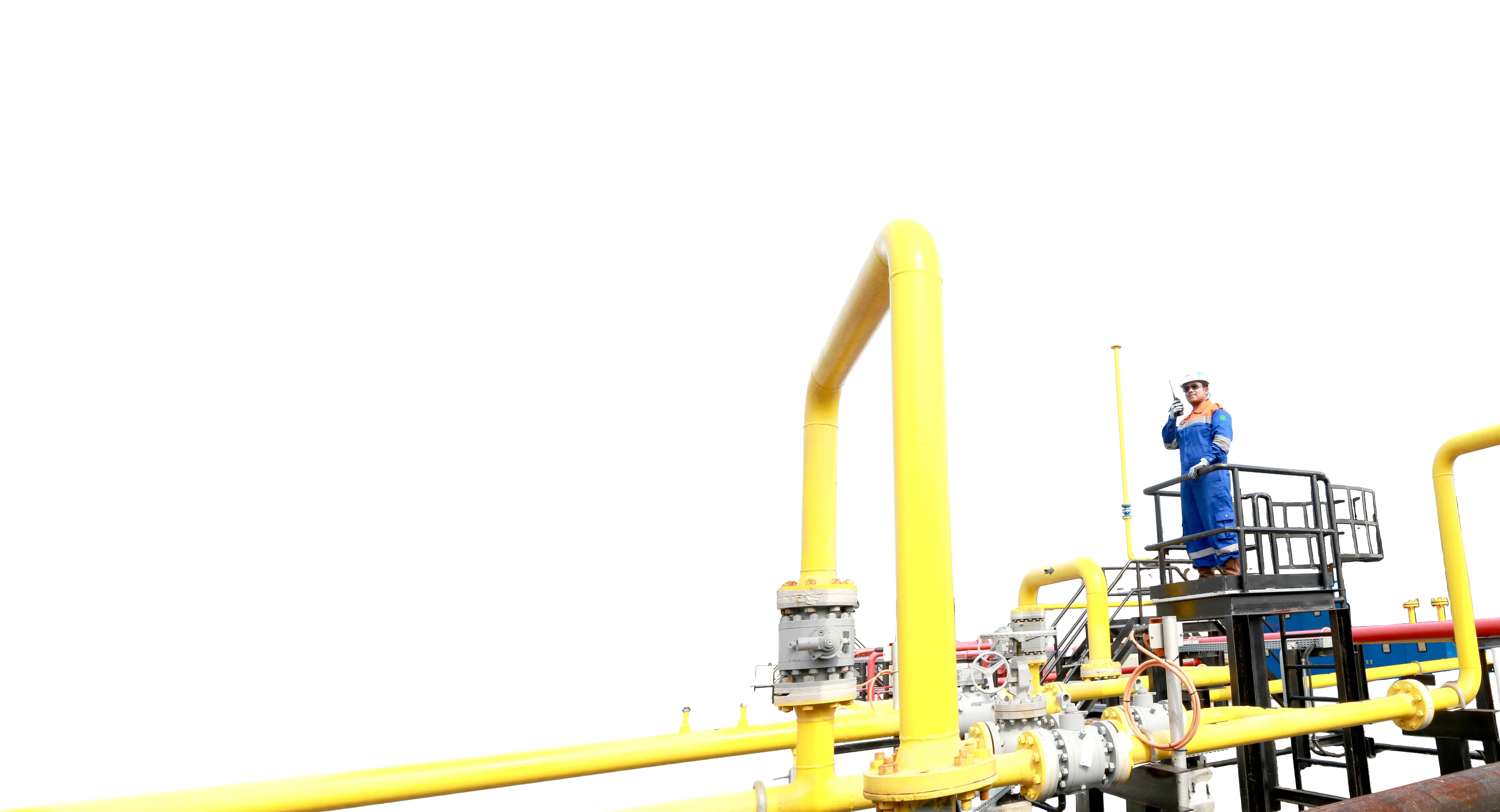 © 2025 Panji Raya Alamindo